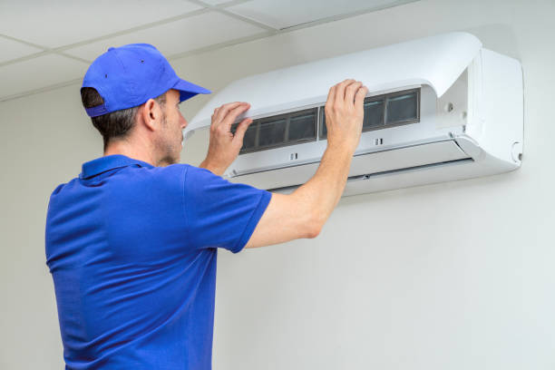 Best Air Vent Cleaning Services  in Brandon, FL